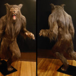 Custom lifesized werewolf statue with national fiber tech fur