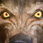 custom lifesized werewolf statue with movie fx glass eyes