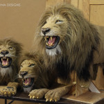realistic lion puppets and costumes