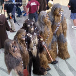 Star wars Chewbacca cosplay costume