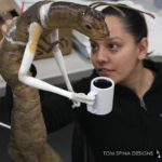 MIB Worm Guy Puppet Restoration