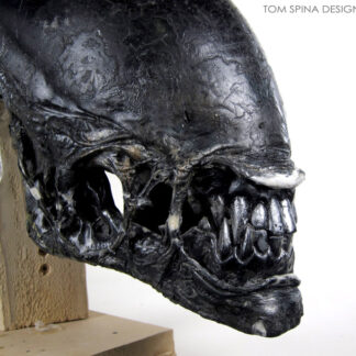 Aliens vs. Predator costume head prop