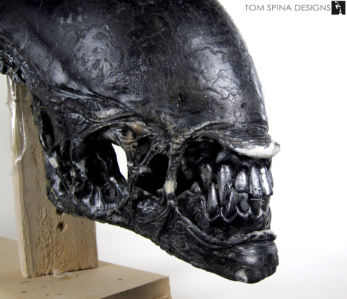 Aliens vs. Predator costume head prop