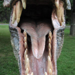 Jurassic Park T-Rex Life Sized Foam Carved Bust