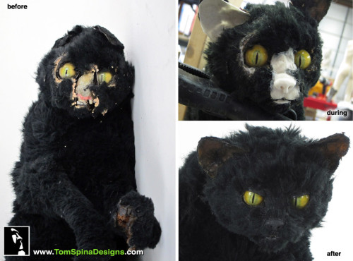 Doctor Who prop restoration of animatronic cat puppet