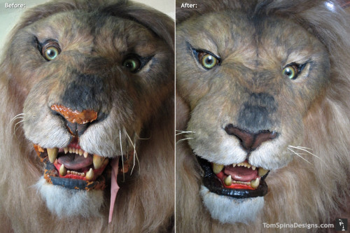 Lifesized Lion Statue Movie Prop Repair