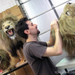 Tom hair punching ventilating lion puppet