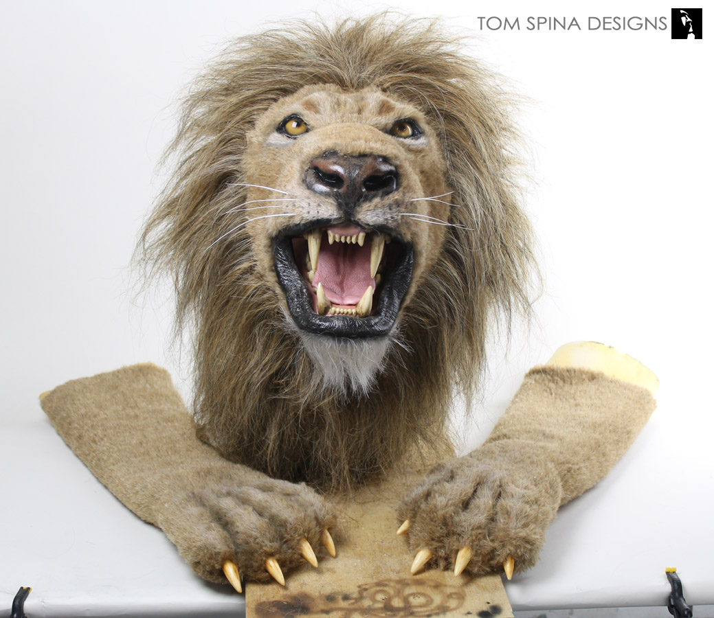 Albums 102+ Background Images Lion With Splinter In Paw Full HD, 2k, 4k