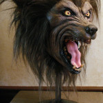 custom life size werewolf bust statue fangs and glass eyes