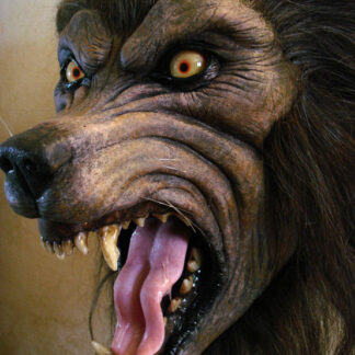 custom life size werewolf bust statue fangs and glass eyes