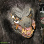 Rick Baker American Werewolf in London Movie Costume Restoration
