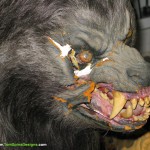 Rick Baker American Werewolf in London Movie Costume Restoration