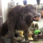 Rick Baker American Werewolf in London Movie Costume Restoration