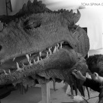 Dragonslayer Vermithrax movie prop head