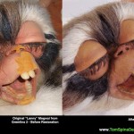 Gremlins Mogwai Lenny Restoration Gremlins 2