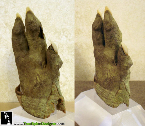 Yoda puppet hand, part of his costume conservation