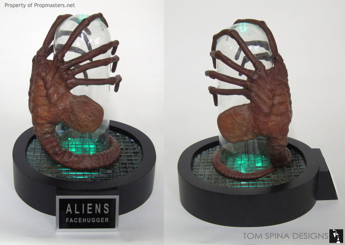 Aliens 1986 Facehugger movie prop restoration and display