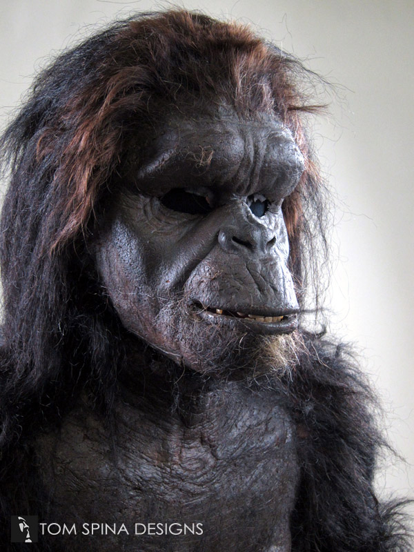 2001: A Space Odyssey ape costume by Stuart Freeborn