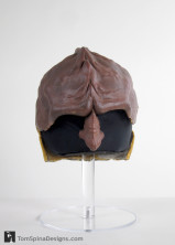 Worf Makeup Appliance custom display head