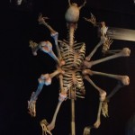 Skeleton bone sculpture art