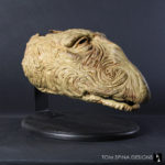 Dark Crystal Mystic Head Conservation