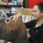 Star Wars Chewbacca costume mask fur