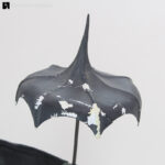 An original prop vampire prop umbrella from The Nightmare Before Christmas