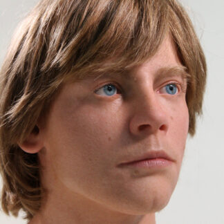 Hyper realistic bust of Mark Hamil from Star Wars 1977
